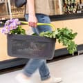 Pikkukuva 6 / 7: Kori auton tavaratilaan Armster V01344 Musta Muovinen
