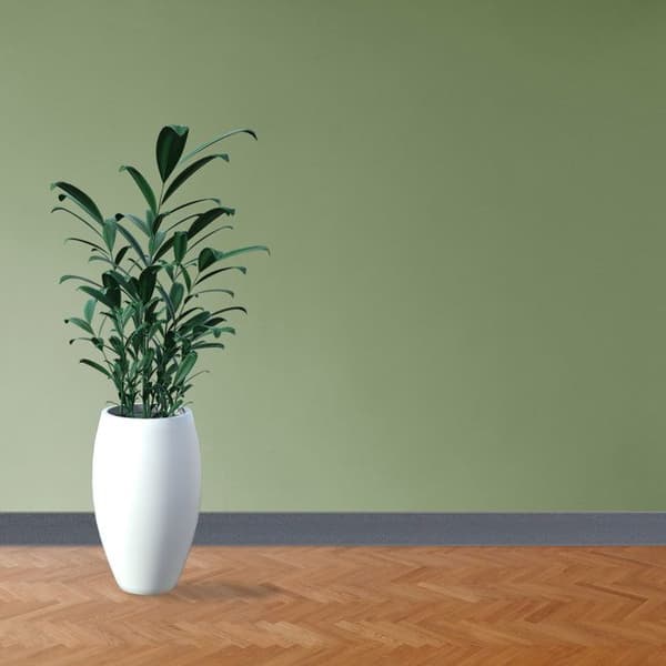 PROVISTON PVC-sockel 12 x 60 x 2500 mm Grå PVC-sockel i styvt skum med tonad flexibel läpp 12,5 meter | 5 stycken