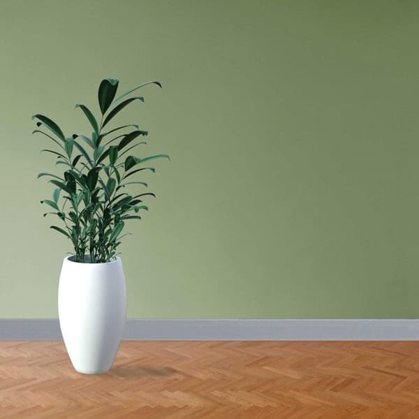 PROVISTON PVC-sockel Hård skum med tonad mjuk läpp 12 x 60 x 2500 mm ljusgrå 12,5 meter | 5 st