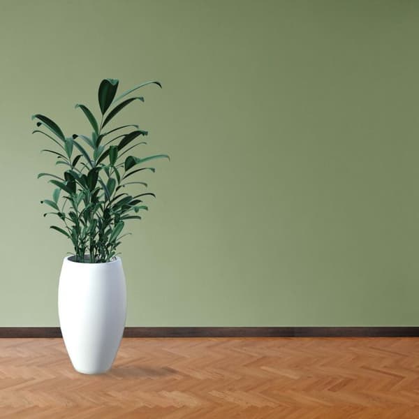 PROVISTON Modern sockel 18 x 58 x 2400 mm Medium (MDF) Belagd Lech Ek Dekor