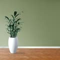 Miniatyrbild 4 av 6: PROVISTON Modern golvlister Skarpa kanter 16 x 58 x 2500 mm Medium (MDF) Vitlackerad kan målas