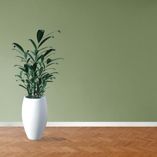 PROVISTON Modern golvlister Skarpa kanter 16 x 58 x 2500 mm Medium (MDF) Vitlackerad kan målas