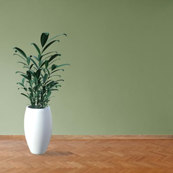 PROVISTON Modern sockel 18 x 58 x 2400 mm i Medium (MDF) Belagd Ems Oak Decor