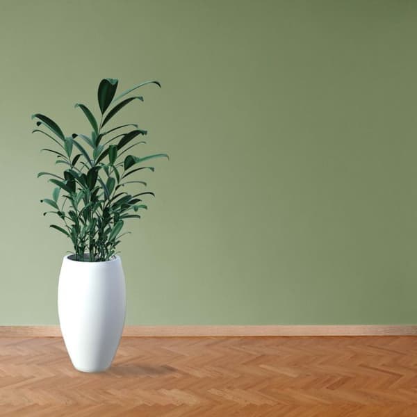 PROVISTON Modern Sockelbräda 18 x 58 x 2400 mm Medium (MDF) Belagd Neckar Oak Decor