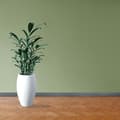 Miniatyrbild 4 av 6: PROVISTON Modern Sockellist 13 x 58 x 2400 mm i Medium (MDF) Matt dammgrå belagd