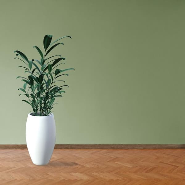 PROVISTON Modern sockel 18 x 58 x 2400 mm Medium (MDF) Belagd Moehne Oak Decor