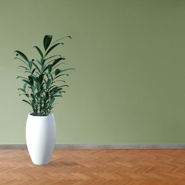 PROVISTON Modern sockel 18 x 58 x 2400 mm Medium (MDF) Belagd Noirach Oak Decor