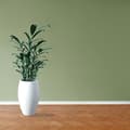 Miniatyrbild 4 av 6: PROVISTON MDF-sockel 15 x 50 x 2400 mm vit för att limma, klämma, skruva &amp; spikbelagd MDF-kärna 60 meter | 25 stycken
