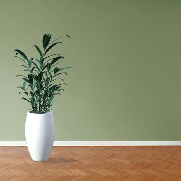 PROVISTON Sockel med vassa kanter 16 x 40 x 2400 mm i vitmålat massivt trä