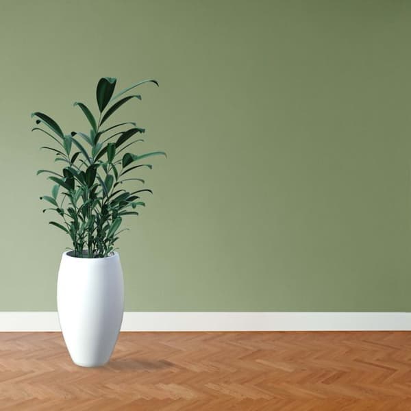 PROVISTON Massiv träsockel 19 x 60 x 2400 mm Vit att limma, skruva & spik 60 meter | 25 stycken