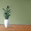 Miniatyrbild 4 av 6: PROVISTON Modern Sockellist 18 x 58 x 2400 mm i Medium (MDF) Belagd Glomma Furu Decor
