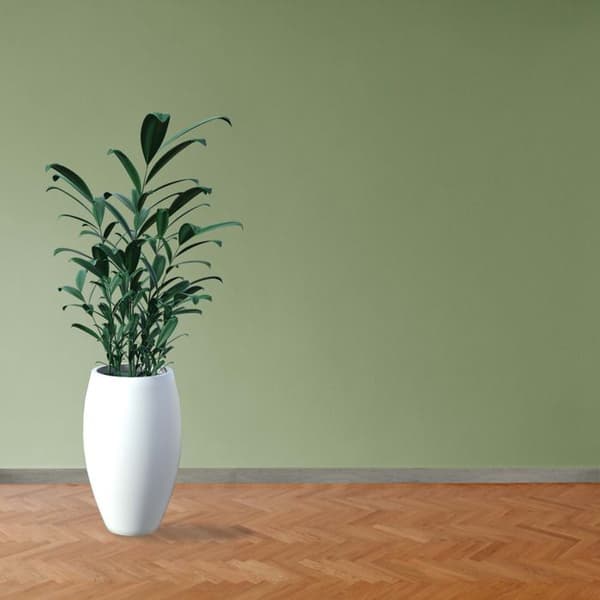 PROVISTON Modern Sockellist 18 x 58 x 2400 mm i Medium (MDF) Belagd Glomma Furu Decor