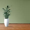 Miniatyrbild 4 av 6: PROVISTON Modern sockel 18 x 58 x 2400 mm Medium (MDF) Belagd Leukbach Ekdekor