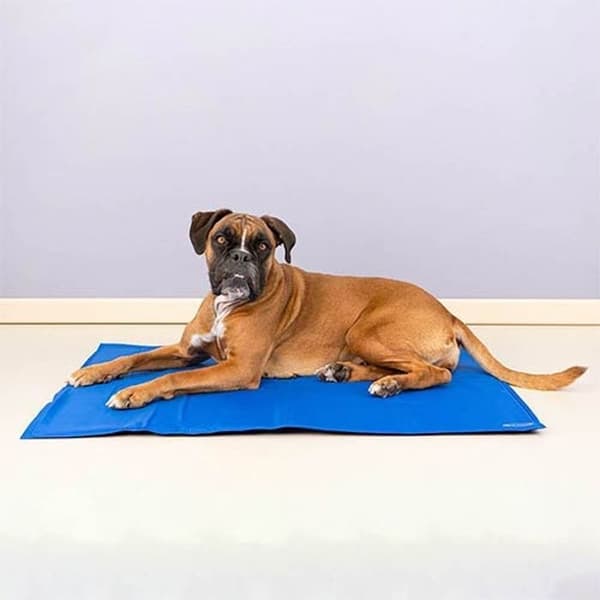 Tapis rafraîchissant IBÁÑEZ MEDIUM REFRESHING CARPET