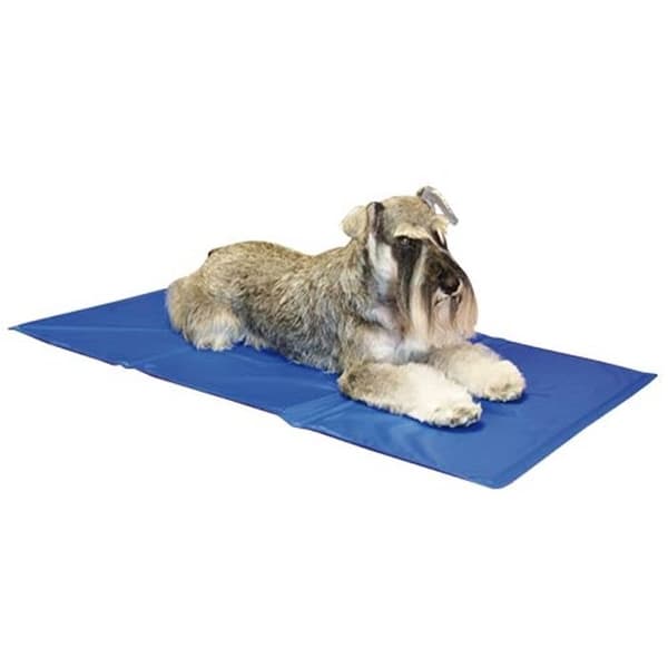 Tapis rafraîchissant IBÁÑEZ MEDIUM REFRESHING CARPET