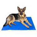 Miniatyrbild 1 av 3: Tapis rafraîchissant IBÁÑEZ MEDIUM REFRESHING CARPET