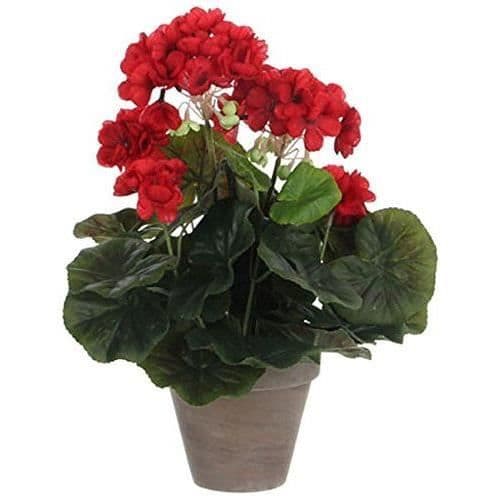 MICA Dekorationer, pelargon stora röda blommor - 975161