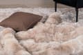 Pikkukuva 6 / 10: FURNLUX OLOHUONEEN MATTO SHIVA BEIGE 170CM