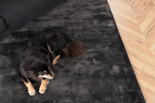 FURNLUX VARDAGSRUMSMATTA INDRA MÖRKGRÅ 250CM
