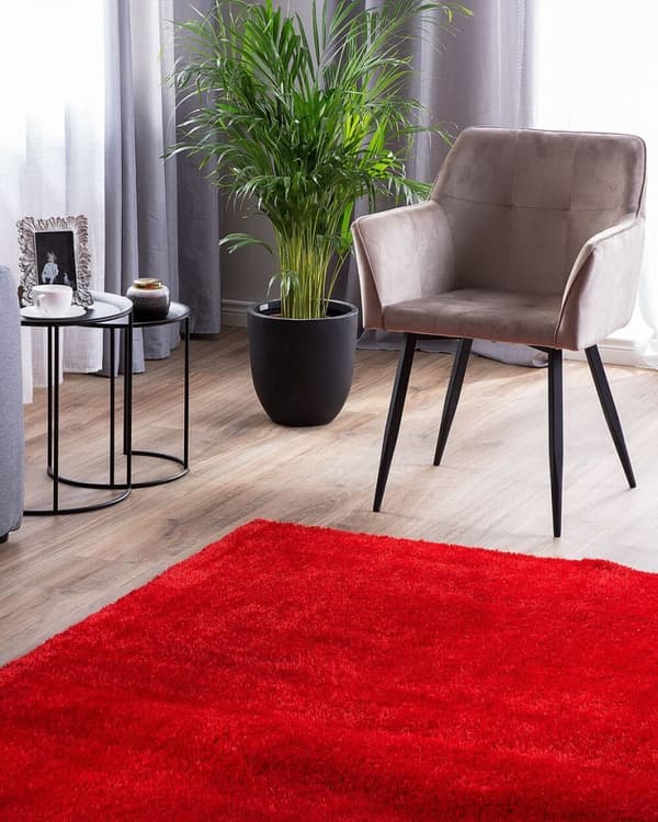 Nukkumaton matto 140 x 200 cm punainen DEMRE Lumarko!