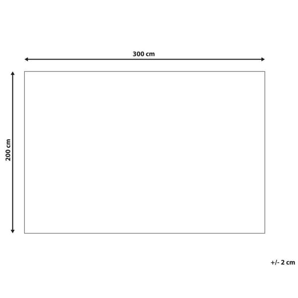 Tæppe 200 x 300 cm flerfarvet HERMON Lumarko!