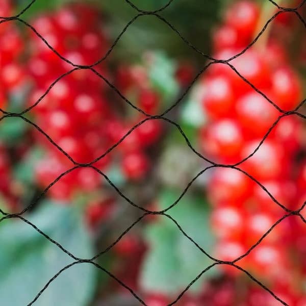 Anti-bird netting Nature Primo Musta Polyetyleeni 10 x 10 m