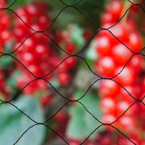 Anti-bird netting Nature Primo Musta Polyetyleeni 10 x 10 m