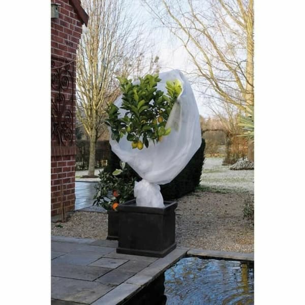 Skyddspresenning Nature 6030118 Vit polypropen Plast 2 x 10 m