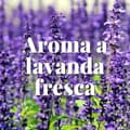 Pikkukuva 5 / 9: Koisuoja Orion Laventeli