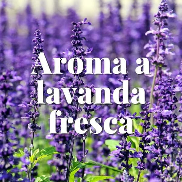 Behandling mod møl Orion Lavendel