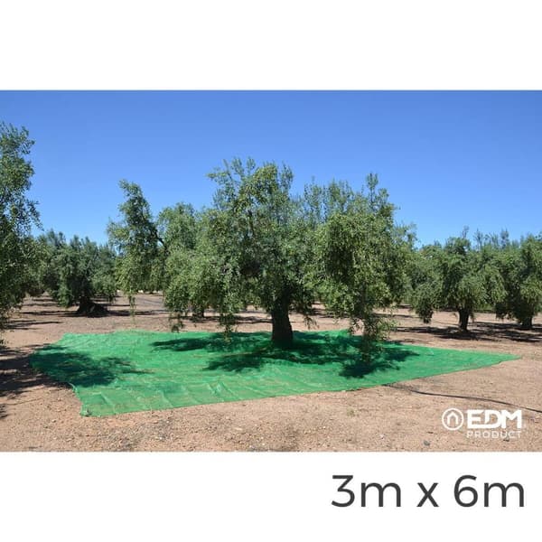 Trikoot EDM Hedelmäkeräin Vihreä polypropeeni 3 x 6 m