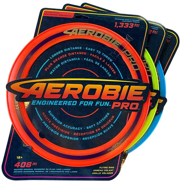 Aerob skive 13