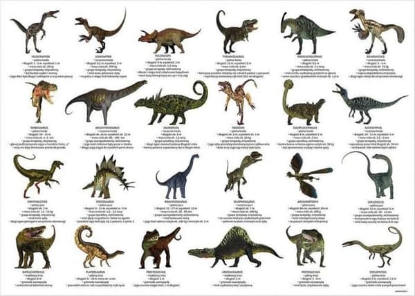 Vitrin - anslagstavla Derform - 325356 - pedagogiskt klisterstöd med dinosaurier