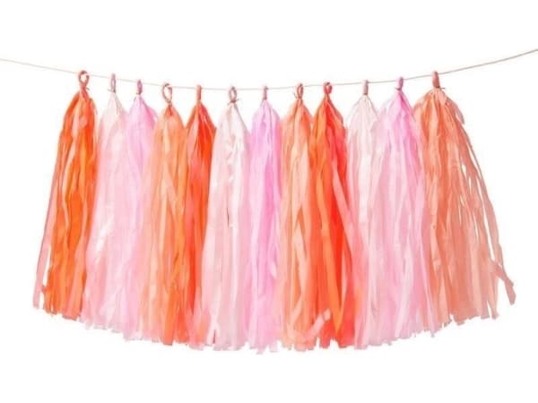 Meri Meri Pink Tassel Garland