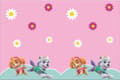 Pikkukuva 1 / 2: PROCOS Paw Patrol Skye and Everest birthday tablecloth - 120 x 180 cm - 1 pc universal