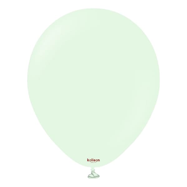 Kalisan Latex Macaroon Balloons (Pack of 100) Pale Green One Size