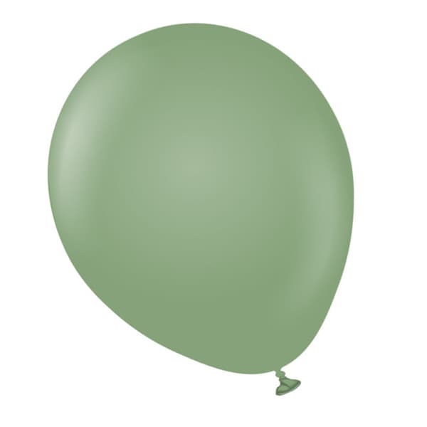 Kalisan Standard Latex Plain Balloons (Pack of 50)