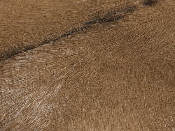 Fotskammel Dyretrykk Lammeskinn Naturlig Hår på Skinnkrakk