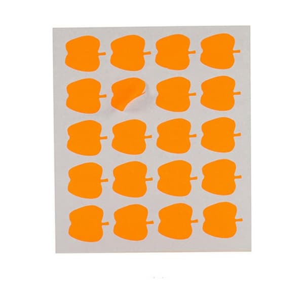 Selvklebende etiketter Pincello 1711090 22 x 49 mm Eple (12 enheter)