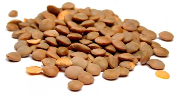 Ruskeat linssit 500g