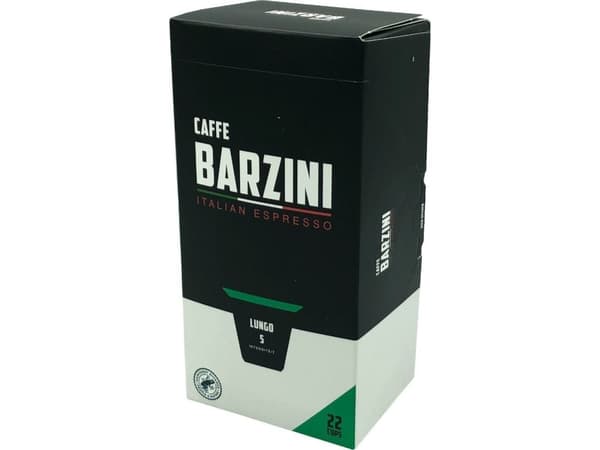 BarziniLungo22
