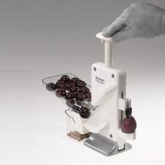 Dubbel automatisk stenare - Steinomat - Körsbär och plommon - 20 kg/h - Aluminium - Rostfritt stål