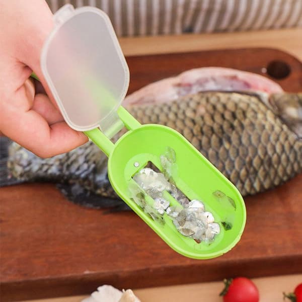 TD® Fish Sccaler 19cm rostfritt stål scaler Fish Scale Organizer