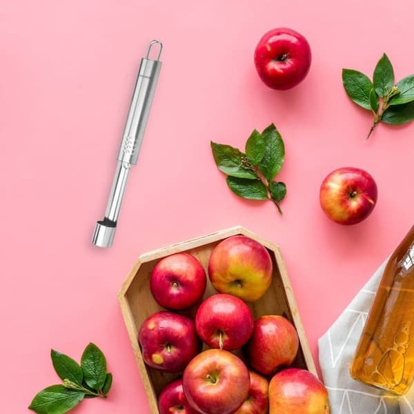 Vide pomme i rostfritt stål Fackelmann Ovala