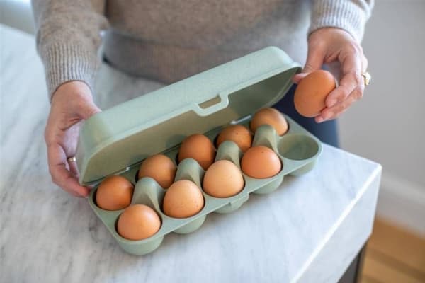 Koziol Eggs To Go 3179668 lysegrønn