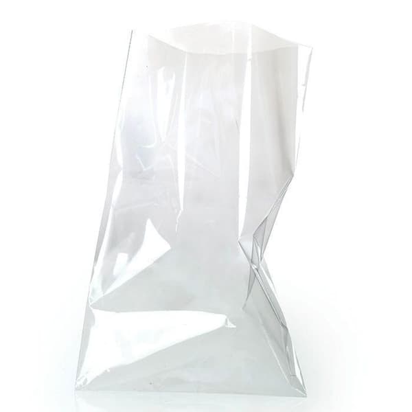 50 genomskinliga matkassar 19 x 11 cm