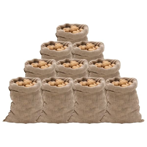 vidaXL Jutesekker 10 stk 60x105 cm 100% jute 220 gsm