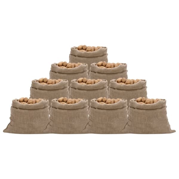 vidaXL Jutesekker 10 stk 100x110 cm 100% jute 220 gsm