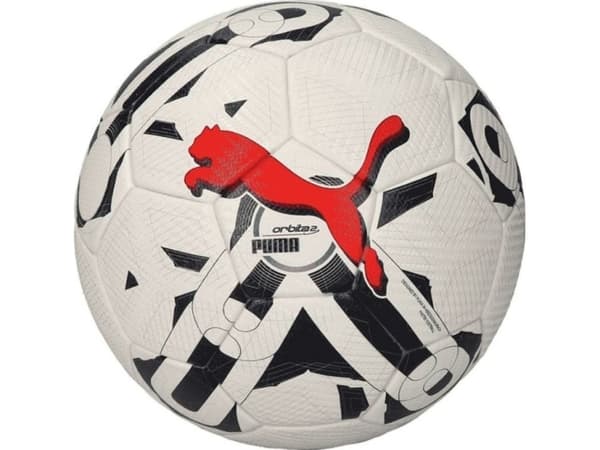 Puma Orbita 2 TB FIFA Quality Pro Valkoinen ja musta 83775 03 (5)