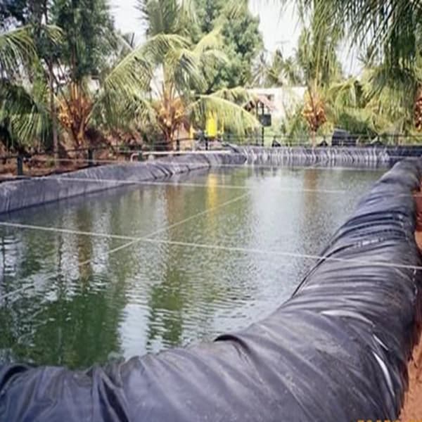 0,25mm tjocklek Vattentät linerfilm Fiskdammsliner Trädgårdspool förstärkt HDPE landskapsarkitektur Pool Geomembran, 3x2M